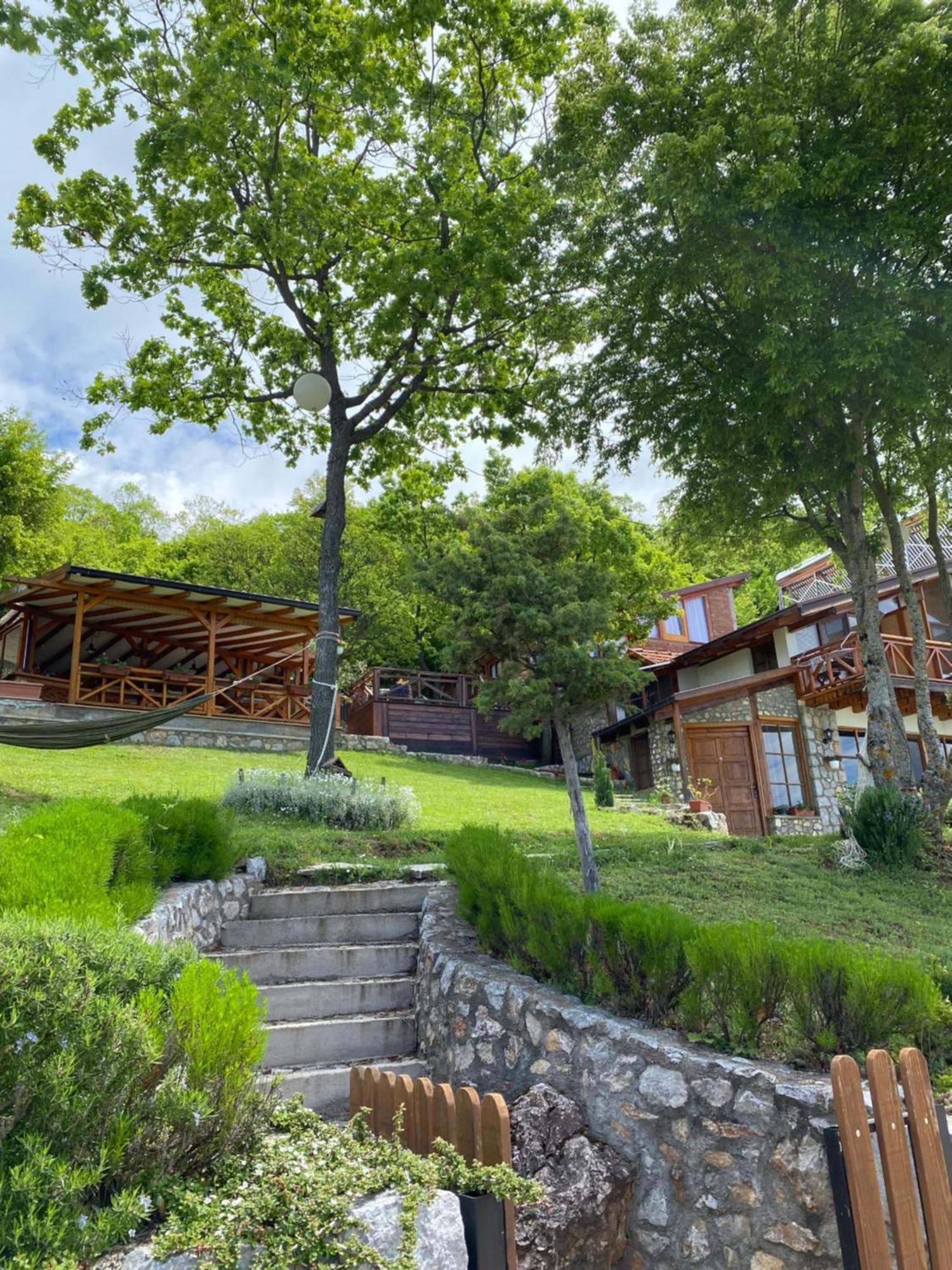 Paradise Nest أوهغيد المظهر الخارجي الصورة