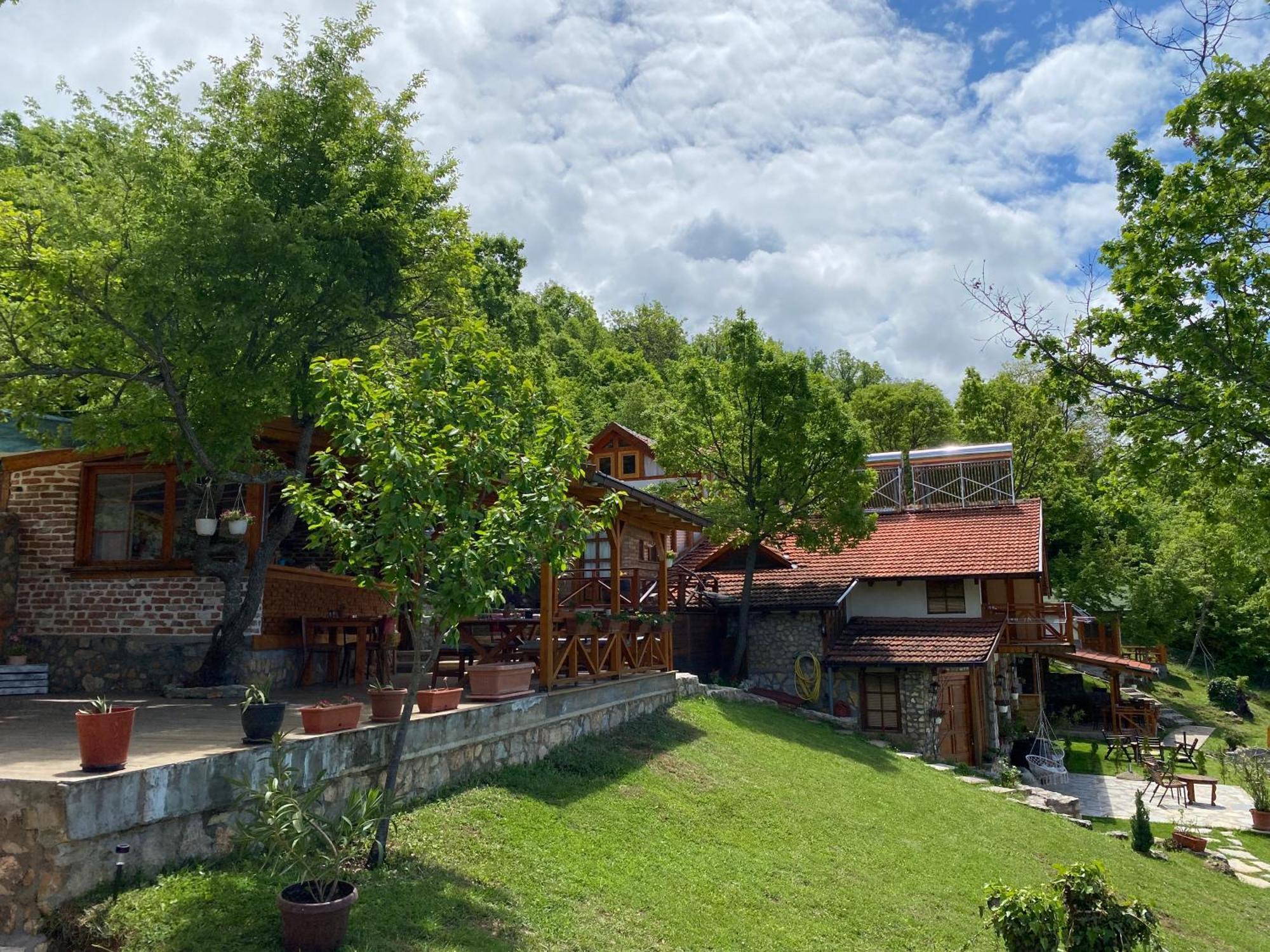 Paradise Nest أوهغيد المظهر الخارجي الصورة